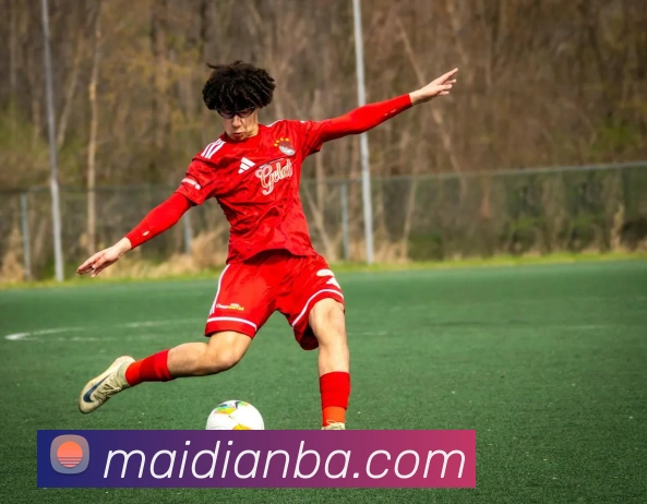 App Interface Preview